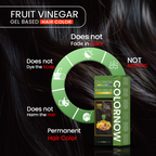 Colornow Gel Fruit Hair Color Black